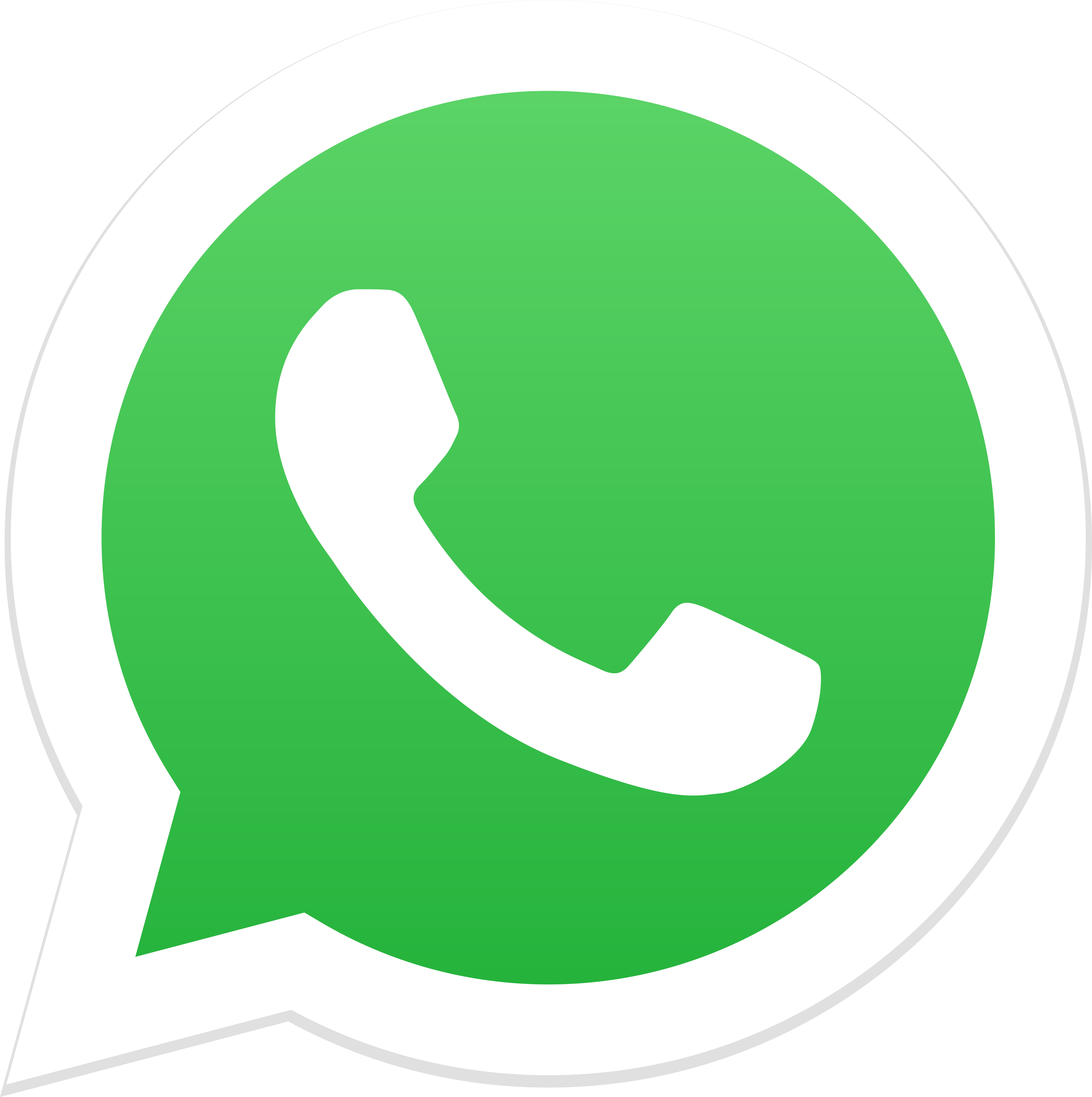 Whatsapp Puma Distribuidora